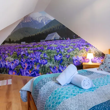 Dwupoziomowy W Centrum Zakopanego Zakopane