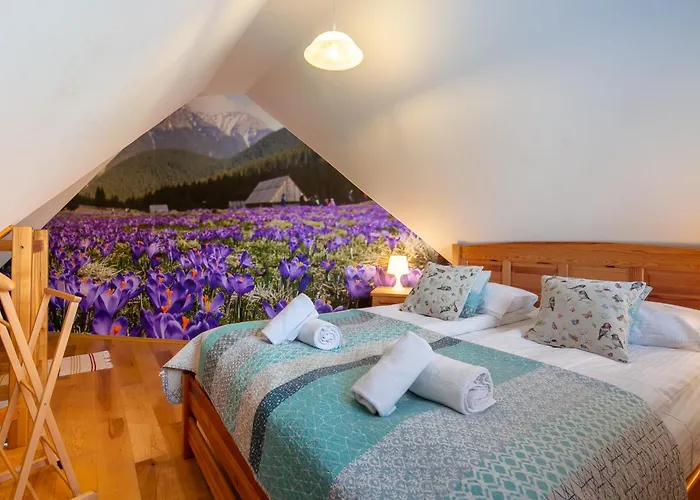 Dwupoziomowy W Centrum Zakopanego *