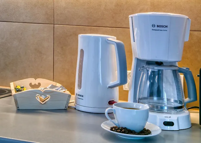 Dwupoziomowy W Centrum Zakopanego * 扎科帕内